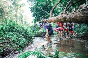 BIB: 
                            <button type="button" onclick="openModal(25460616)" class="btn btn-primary btn-sm float-right btn-popup" data-toggle="modal" data-target=".modal-high-quality">
                        <i class="fas fa-shopping-cart"></i> Add to Cart
                    </button>
                                            <button type="button" onclick="isThisMe(25460616, true)" class="btn btn-success btn-sm float-right btn-popup btn-isme hidden" data-toggle="tooltip" data-placement="bottom" title="นี่คือรูปของคุณใช่ไหม คลิกที่นี่เพื่อเอาเข้าอัลบั้ม">
                        <i class="fas fa-plus"></i> Add to album
                    </button>
                    <button type="button" onclick="isThisMe(25460616, false)" class="btn btn-warning btn-sm float-right btn-popup btn-isnotme hidden">
                        <i class="fas fa-ban"></i> Remove from album
                    </button>